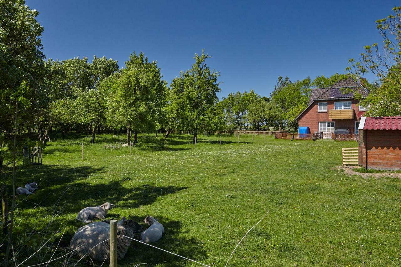 Fewo Auf Dem Lande / Nahe Spo Tumlauer Koog Luaran gambar